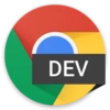 Chrome Dev 155.0.8048.0 Free Download For Window icon